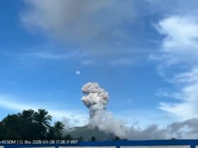 Aktivitas Gunung Dukono di Halmahera Utara, Maluku Utara